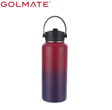 GOLMATE Insulated Stainless Steel Gradient Water Bottle With Straw & Portable Handle